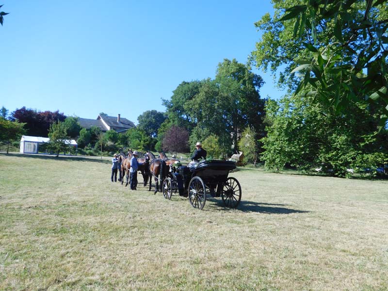 Château Saint Marcel_82440 REALVILLE_5